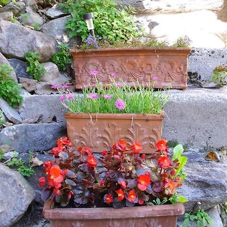 Bed and Breakfast L'abric - Centro Storico Di Limonetto Limone Piemonte