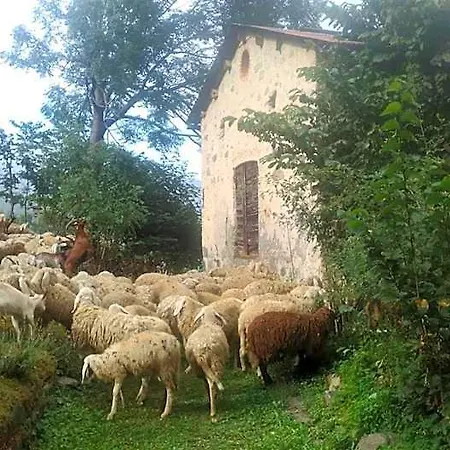 L'abric - Centro Storico Di Limonetto 3*
