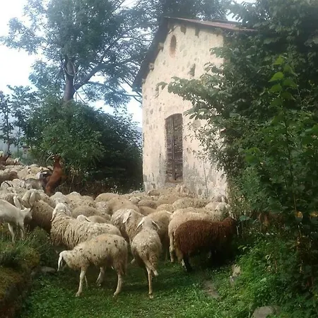 L'abric - Centro Storico Di Limonetto Лимоне-Пьемонте