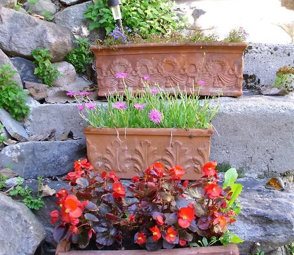 Bed & Breakfast L'abric - Centro Storico Di Limonetto Limone Piemonte
