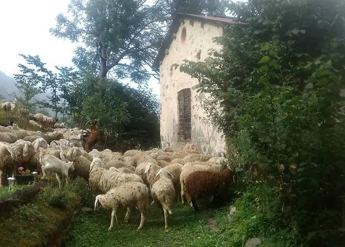 L'abric - Centro Storico Di Limonetto Limone Piemonte